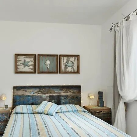 Orchidea Torre delle Stelle