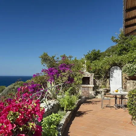 Orchidea Torre delle Stelle