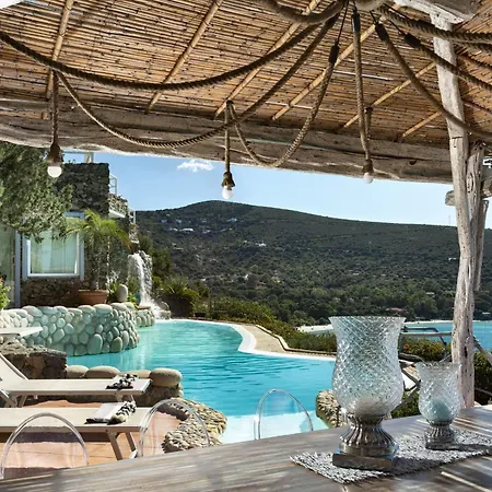 Orchidea Torre delle Stelle