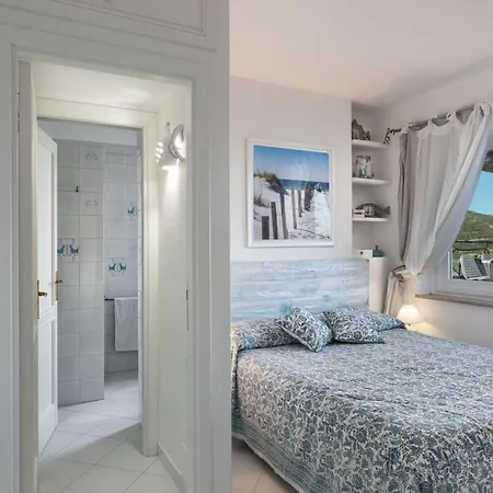 Orchidea Torre delle Stelle