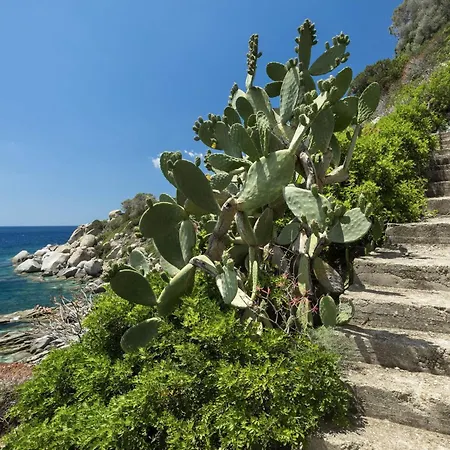 Orchidea * Torre delle Stelle